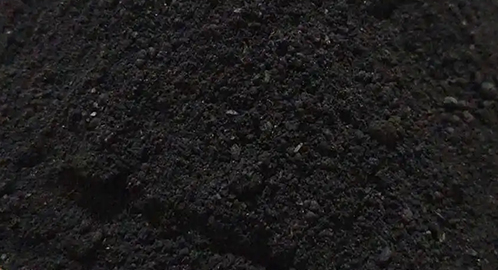 ��ʽ�ѷʹ���