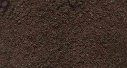 �л���������������ͼģ��