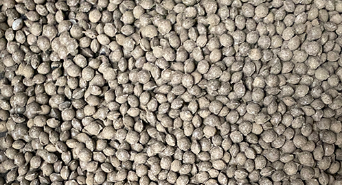 �Թ���ѹ������������